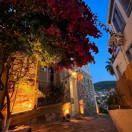 Veria 2* Çeşme